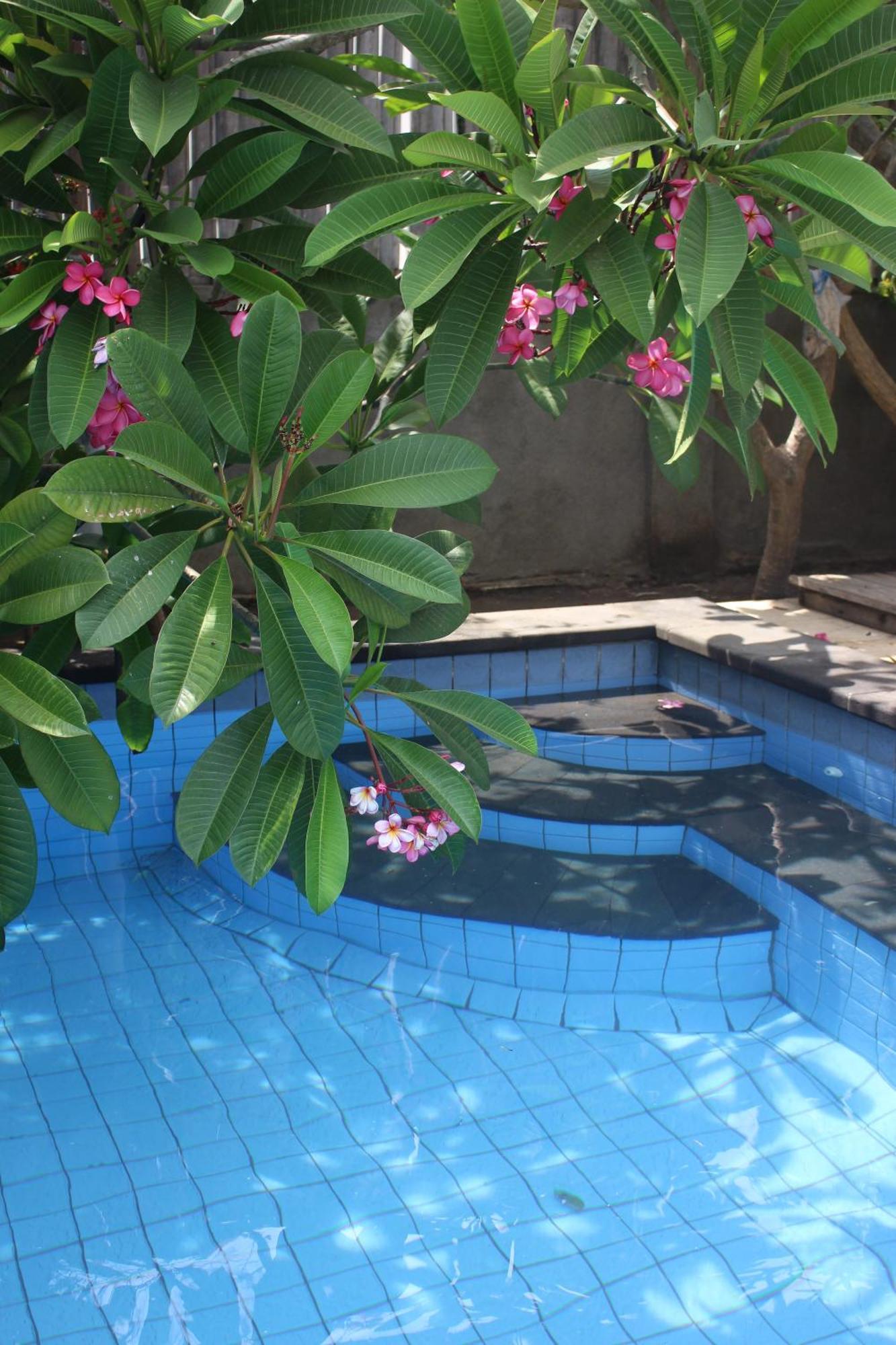 Indigo Bungalows غيلي تراوانغان المظهر الخارجي الصورة