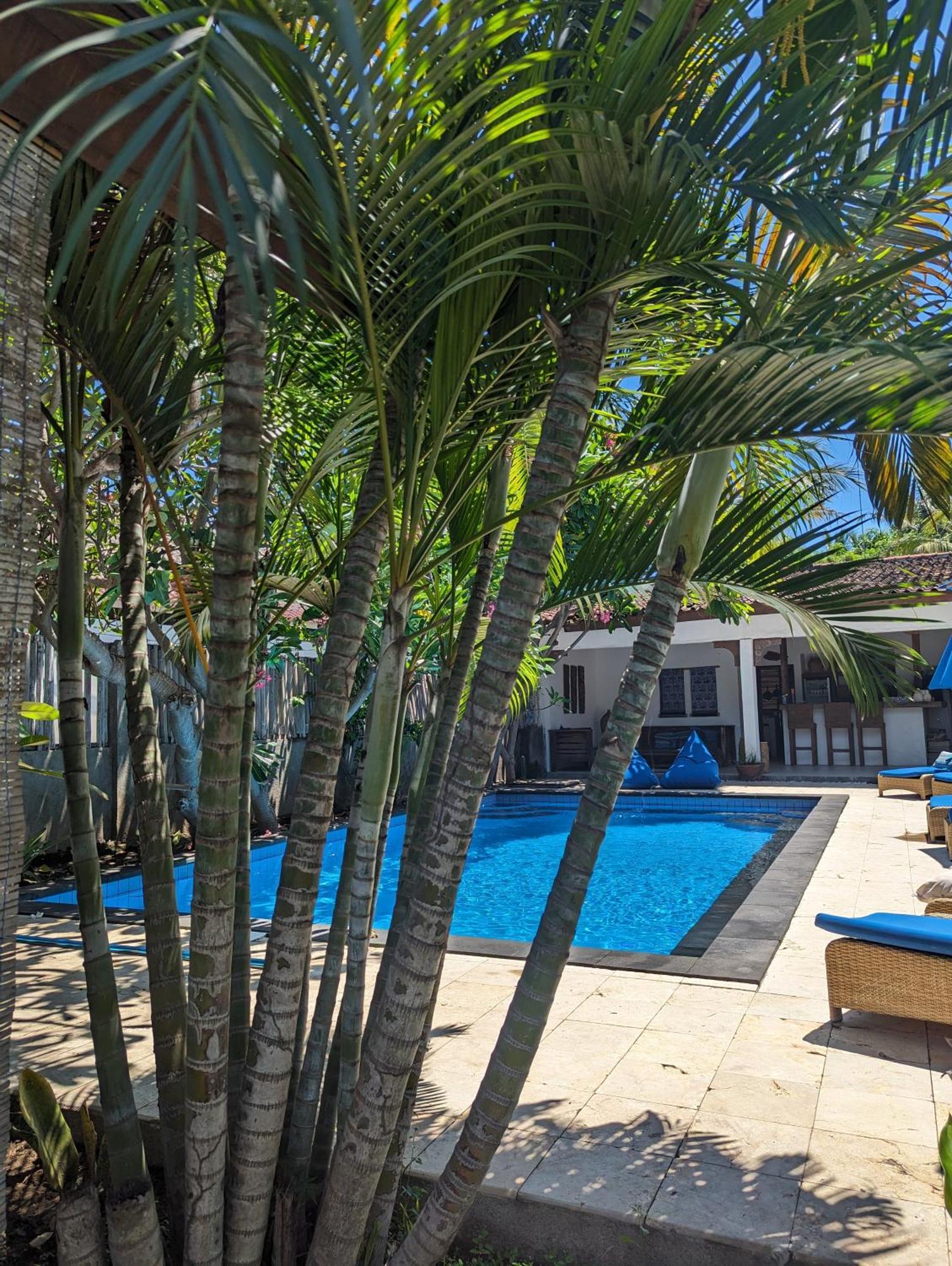 Indigo Bungalows غيلي تراوانغان المظهر الخارجي الصورة