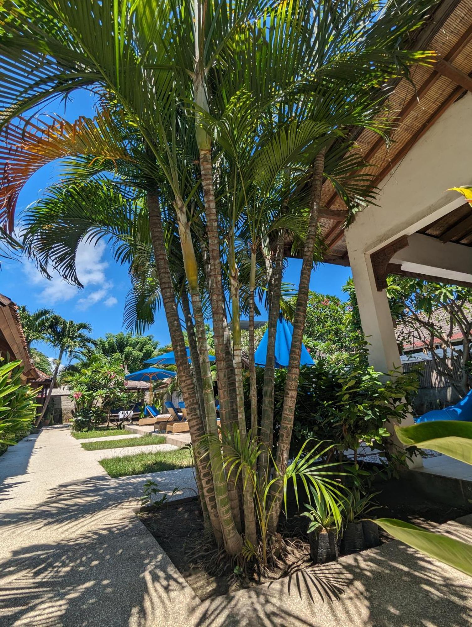 Indigo Bungalows غيلي تراوانغان المظهر الخارجي الصورة