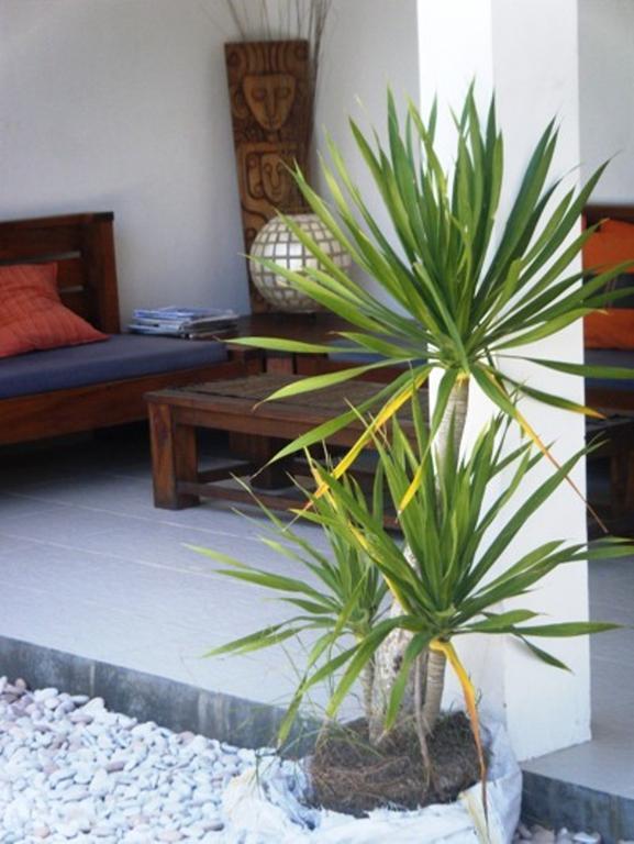 Indigo Bungalows غيلي تراوانغان المظهر الخارجي الصورة